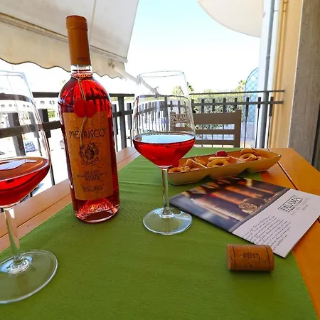Appartement Holiday With Wi-fi, Air Conditioning And Balcony; Parking Available; *